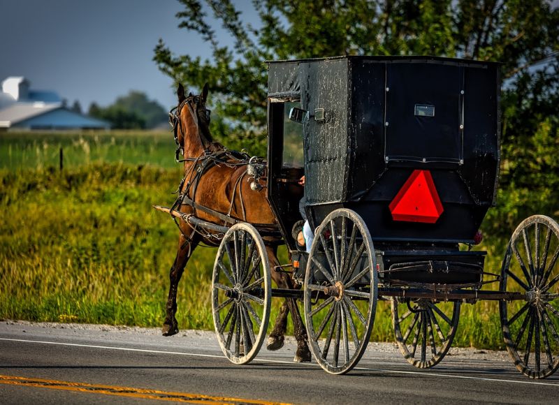 Horse drawn carriage on road near field with green trees near barn near The Inn at Ohio Northern University in Ada, OH